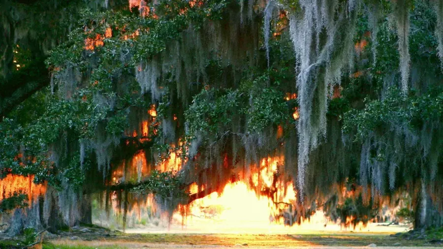 Hvilke stater starter med bogstavet L?' title='Hvilke stater starter med bogstavet L?