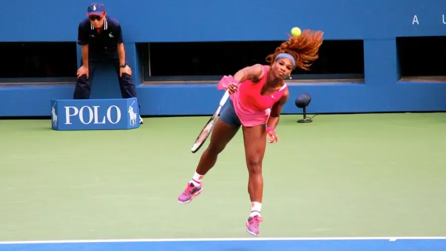 Колькі братоў і сясцёр у Серэны Уільямс?' title='Колькі братоў і сясцёр у Серэны Уільямс?