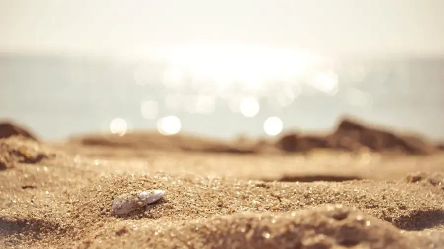 모래 입방피트의 무게는 얼마입니까?