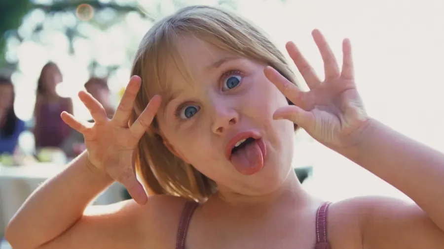 なぜ私たちは「愚かなガチョウ」と言うのでしょうか?' title='なぜ私たちは「愚かなガチョウ」と言うのでしょうか?