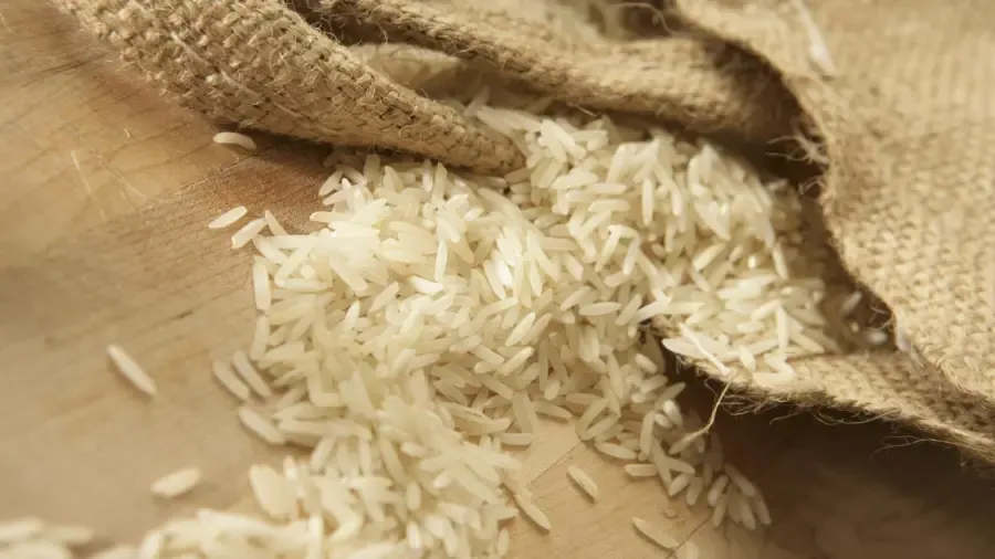 Combien y a-t-il de grains de riz dans une livre ?