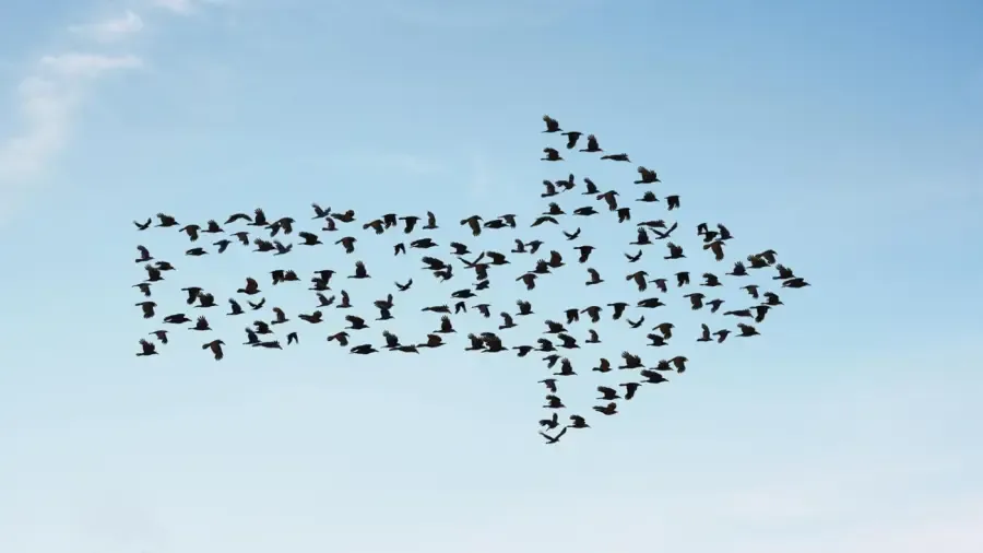 Mitkä ovat muuttoliikkeen esteet?' title='Mitkä ovat muuttoliikkeen esteet?