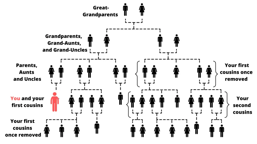 Як дачка маёй пляменніцы звязана са мной?' title='Як дачка маёй пляменніцы звязана са мной?