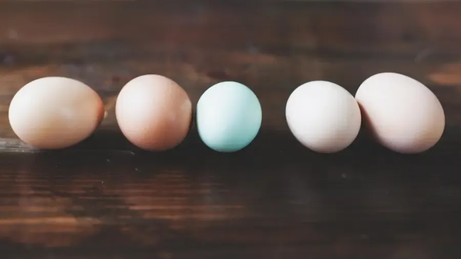 Mi a neve egy 3D oválisnak?' title='Mi a neve egy 3D oválisnak?