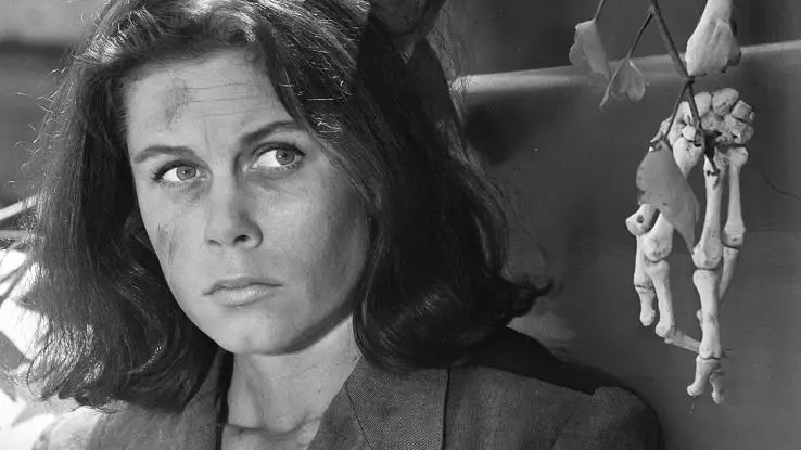 最愛のカルト TV クラシック「Bewitched」の舞台裏に迫る' title='最愛のカルト TV クラシック「Bewitched」の舞台裏に迫る