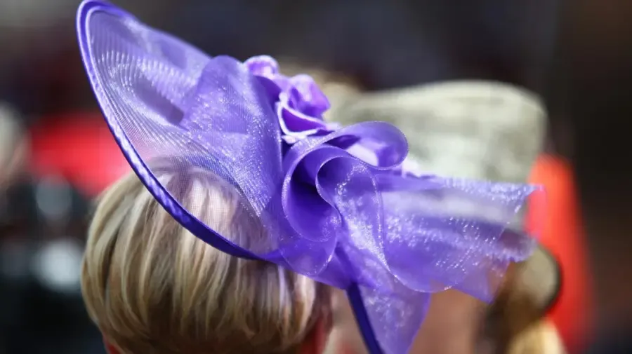Qu’est-ce que la Purple Hat Society ?