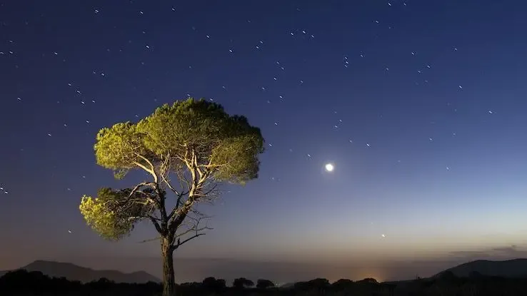 Hvad symboliserer stjerner? Typer af stjernesymboler