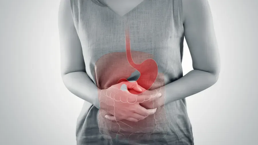 D の文字で始まる体の部位はどれですか?' title='D の文字で始まる体の部位はどれですか?