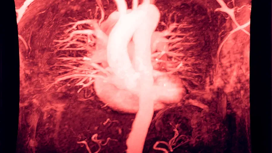 D の文字で始まる体の部位はどれですか?' title='D の文字で始まる体の部位はどれですか?