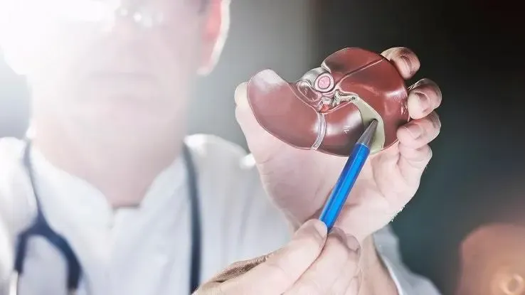 Mennyi az epehólyag súlya?' title='Mennyi az epehólyag súlya?