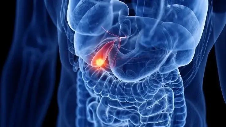 Mennyi az epehólyag súlya?' title='Mennyi az epehólyag súlya?