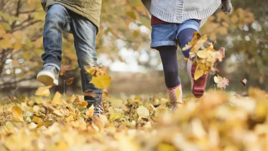 Hvad er de fire årstider i rækkefølge?
