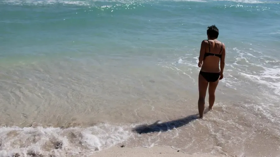 Cos'è l'acqua o la sabbia più pesante?