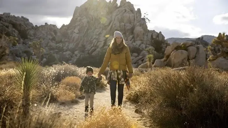 Hvad er nogle ikke-levende ting i ørkenen?