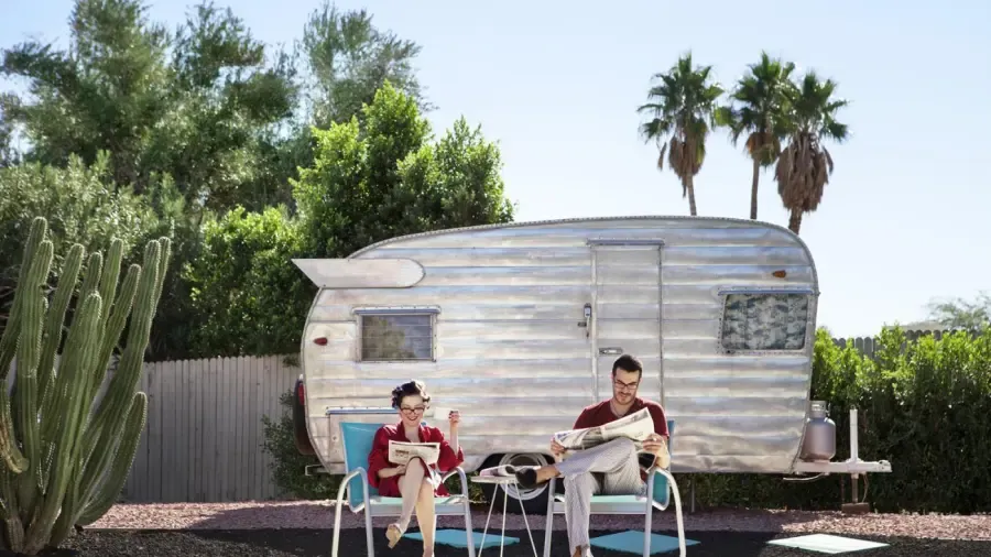 Quels États ont des palmiers ?